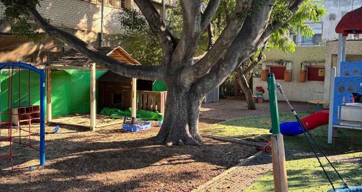 חצר גן צבר שבמרכזה עץ פיקוס, הרצפה כולה מכוסה בפירות ולכלוך, צילום: פרטי