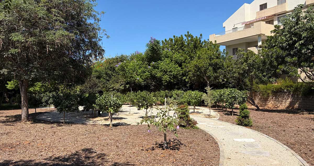 פרדס עצים ננסיים ברחוב הוורד בשכונת נווה זמר