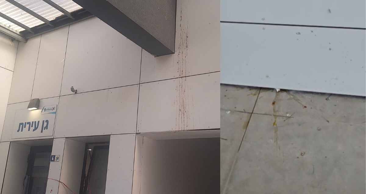ביצים שבורות ולשלשת יונים בגן עירית בגליל ים, צילום פרטי